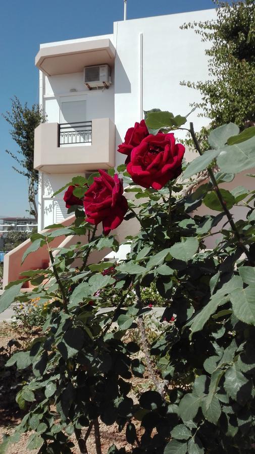 Yannis Apartments Amoudara Lasithiou Dış mekan fotoğraf